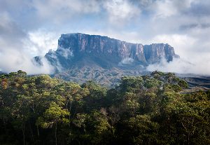 kukenan-tepui-emerges-from-the-mist-canaima-national-park-venezuela